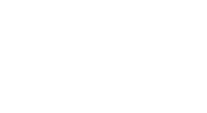 Whirlwind Logo