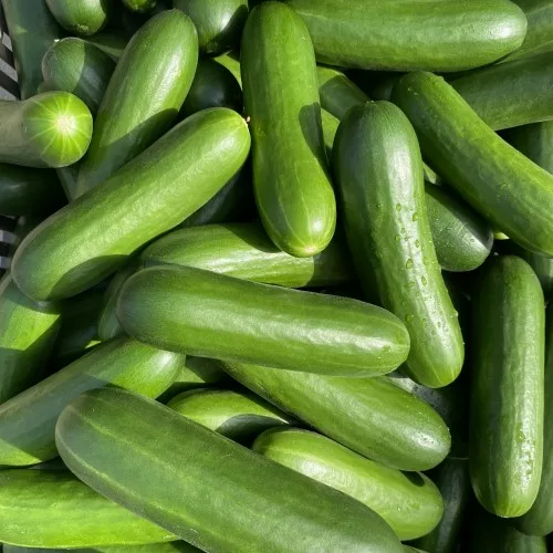 Cucumbers Ripehouse Picture